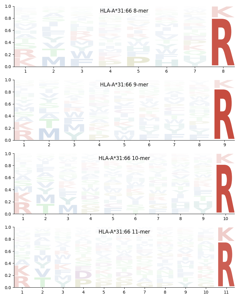 HLA-A*31:66 motif