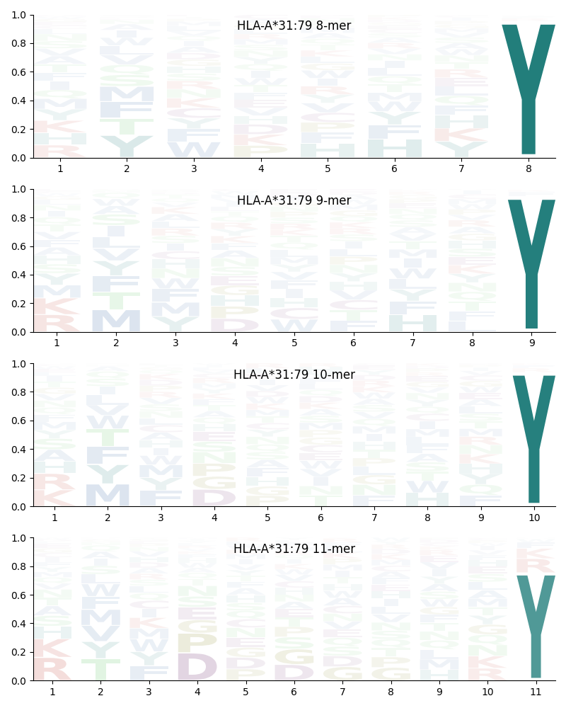 HLA-A*31:79 motif