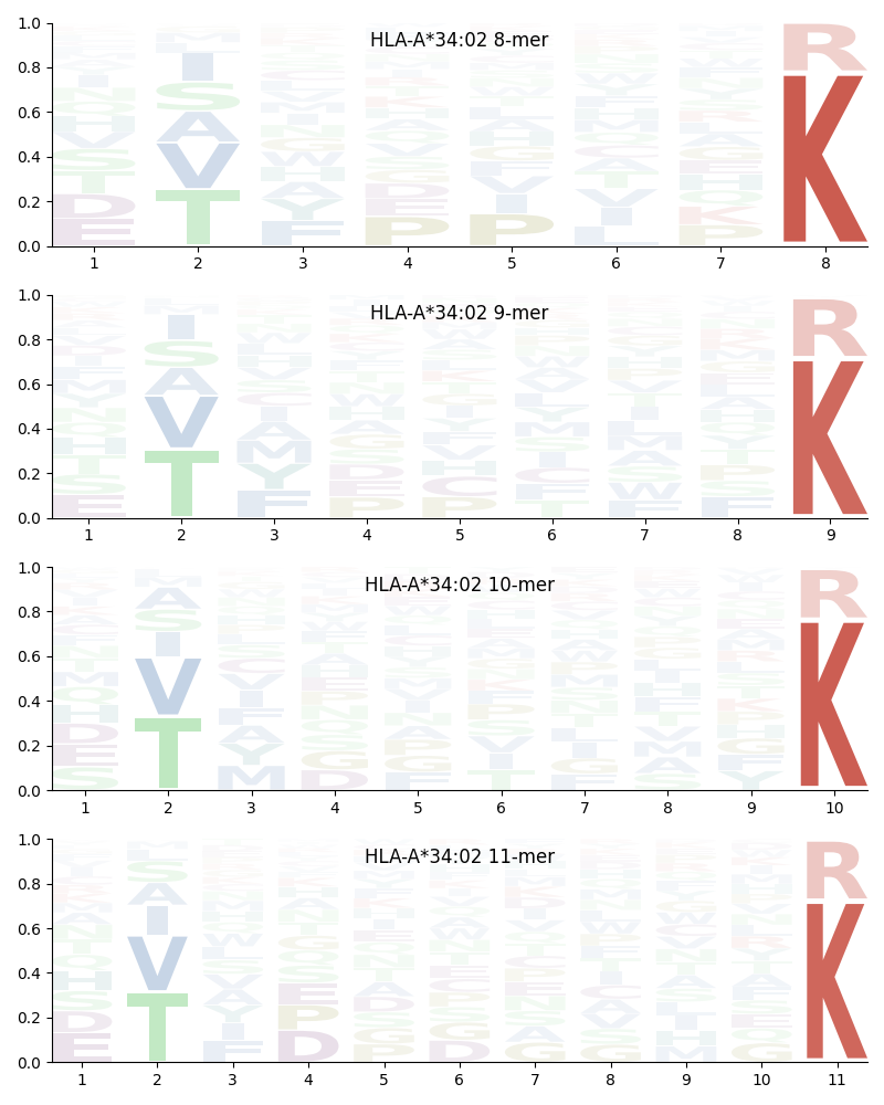 HLA-A*34:02 motif