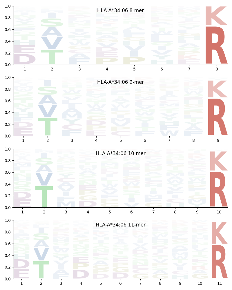 HLA-A*34:06 motif