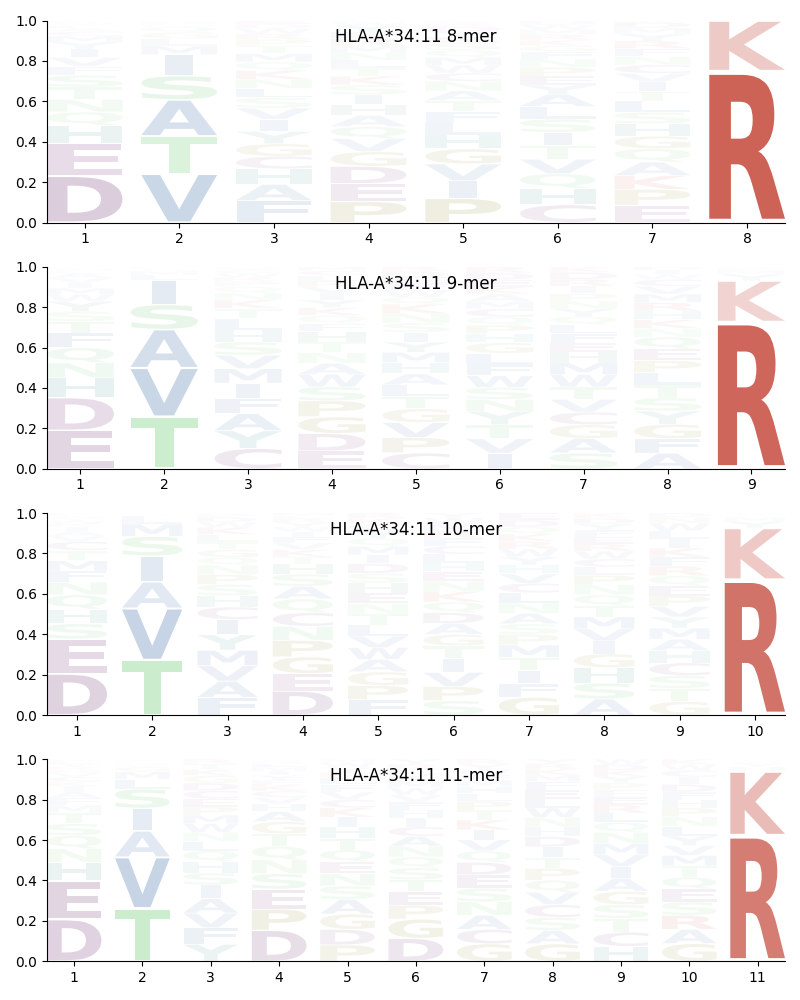 HLA-A*34:11 motif