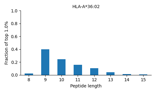 HLA-A*36:02 length distribution