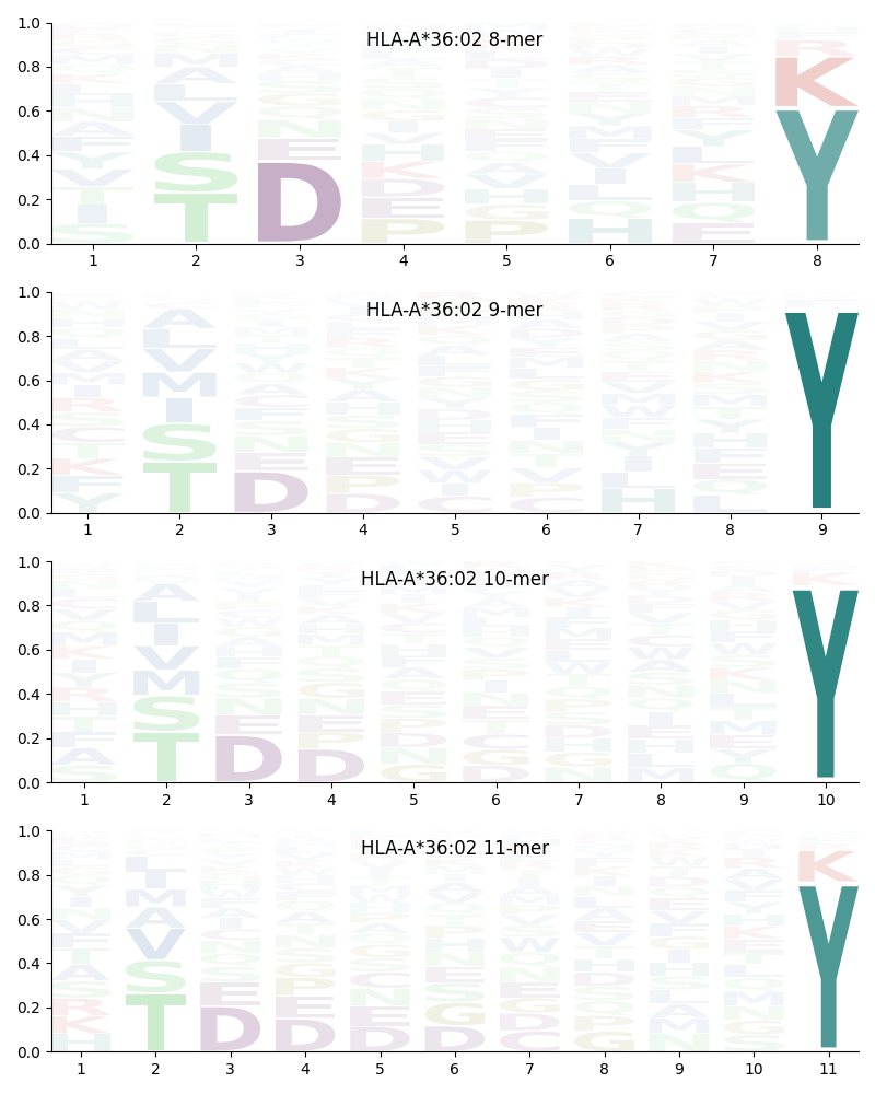 HLA-A*36:02 motif