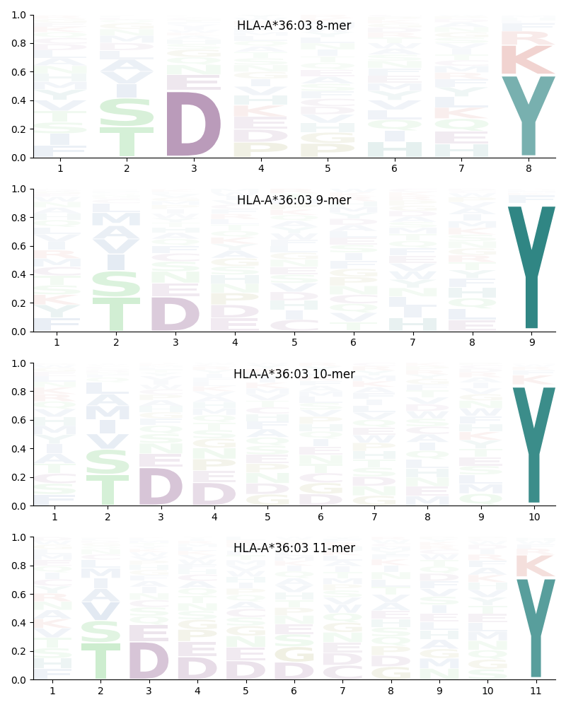 HLA-A*36:03 motif