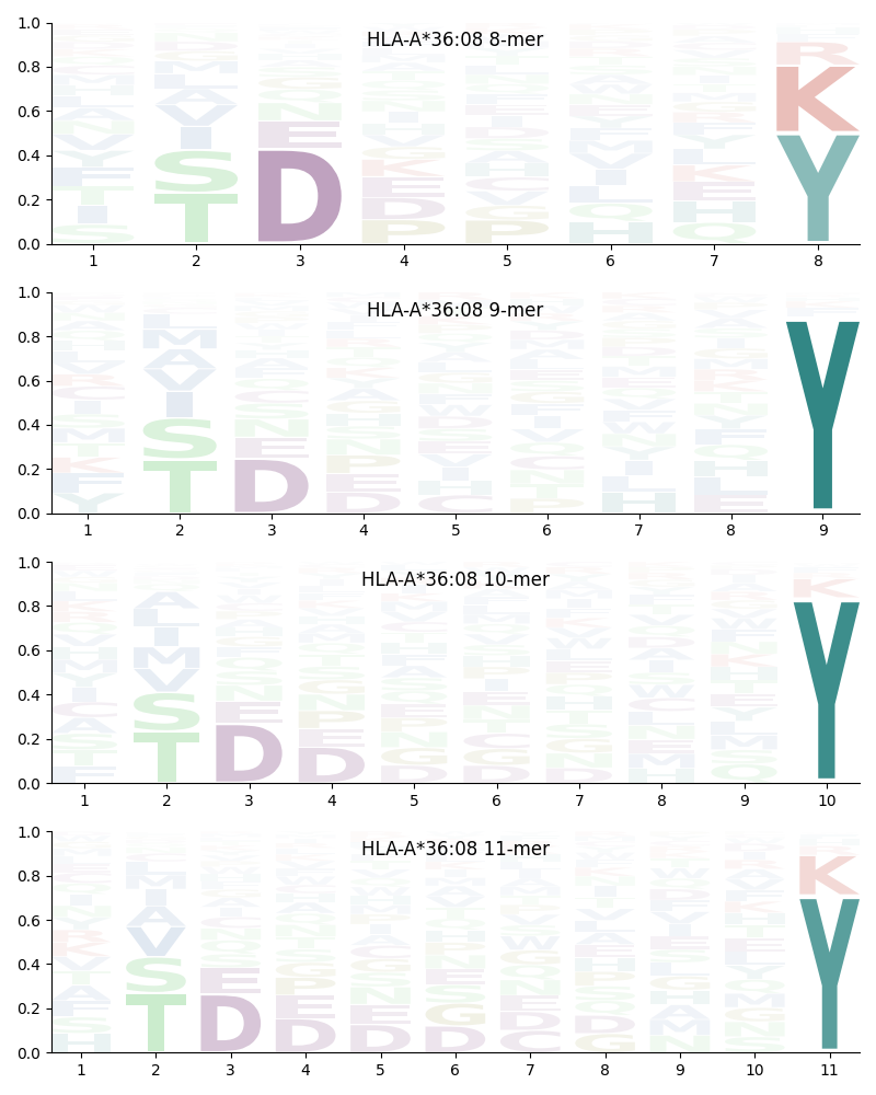 HLA-A*36:08 motif