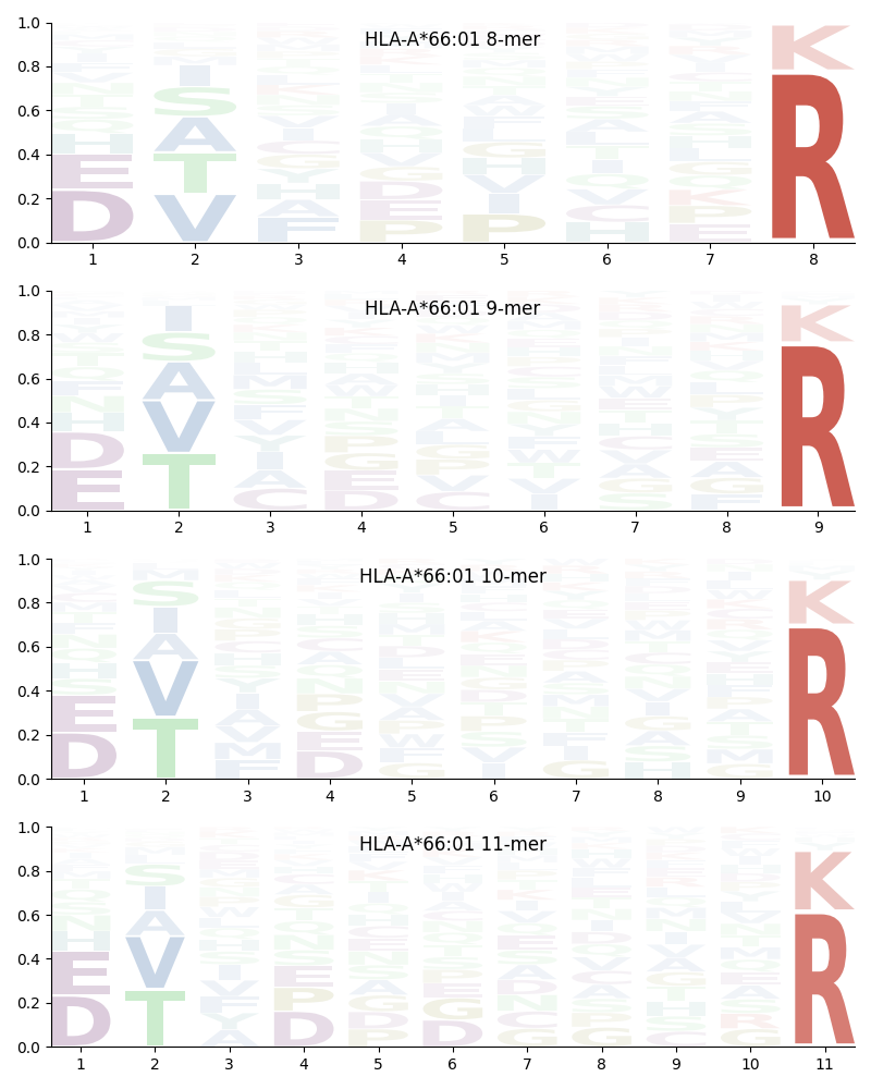 HLA-A*66:01 motif