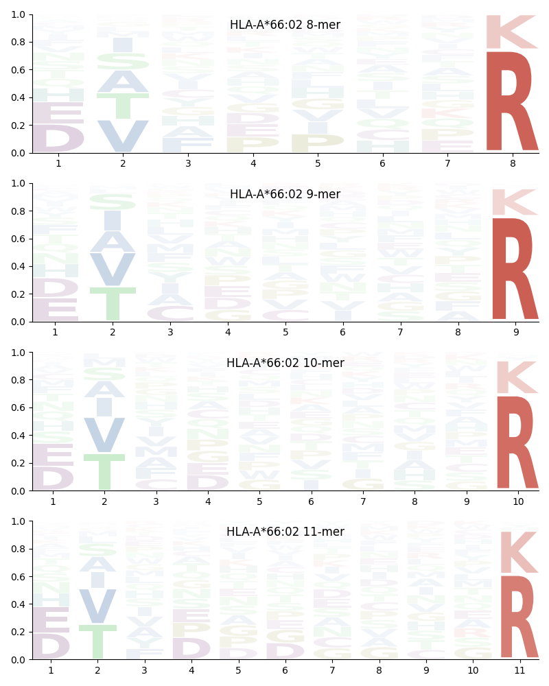 HLA-A*66:02 motif