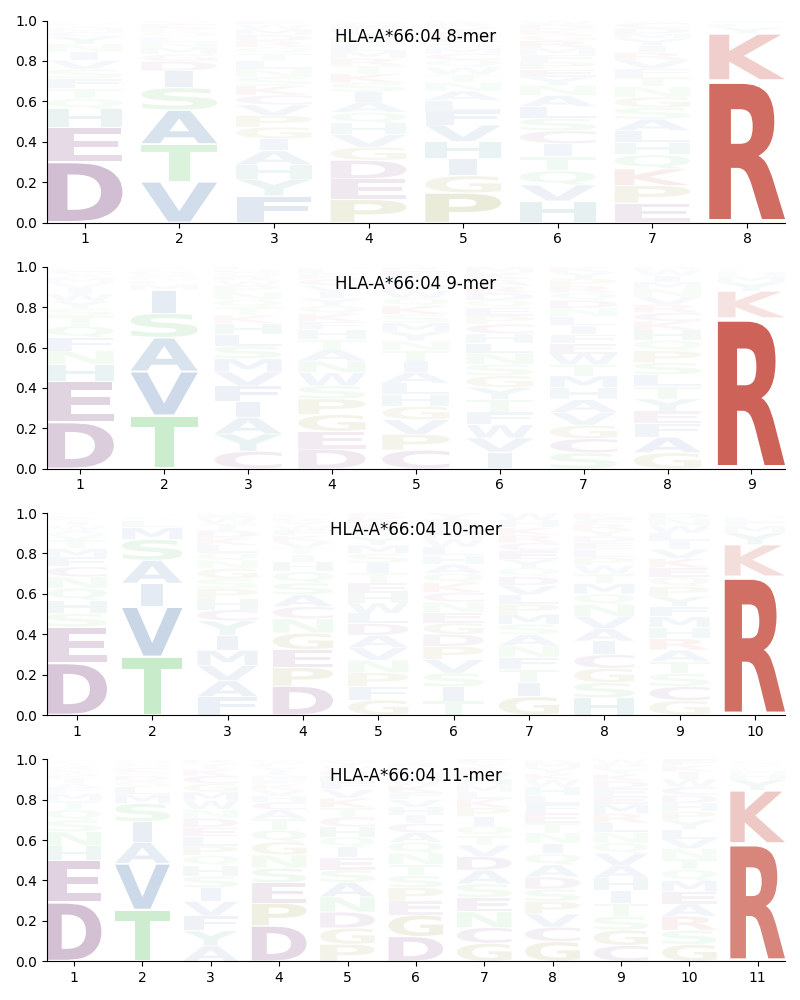 HLA-A*66:04 motif