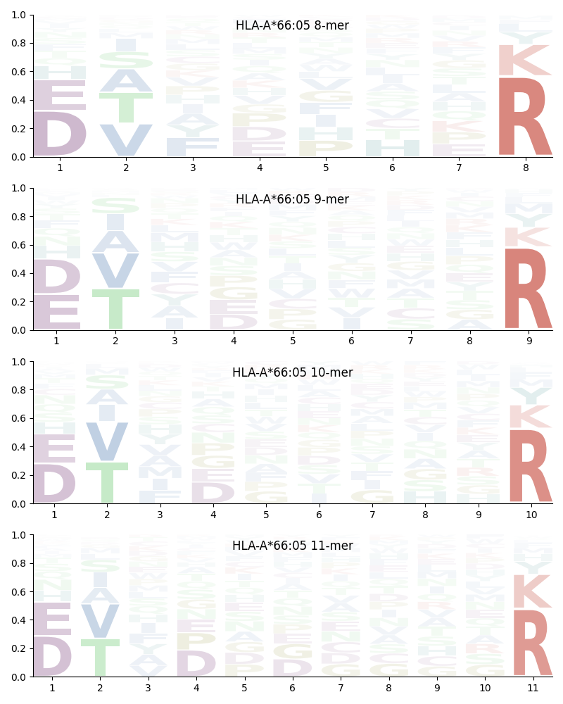 HLA-A*66:05 motif