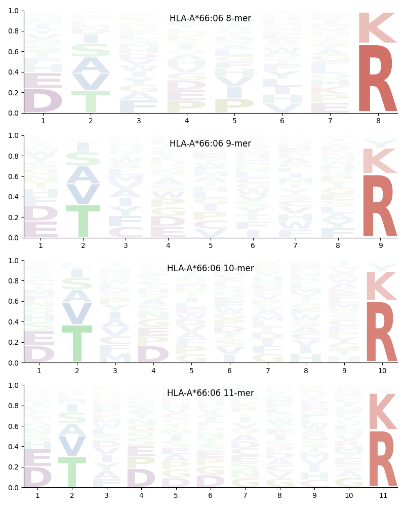 HLA-A*66:06 motif