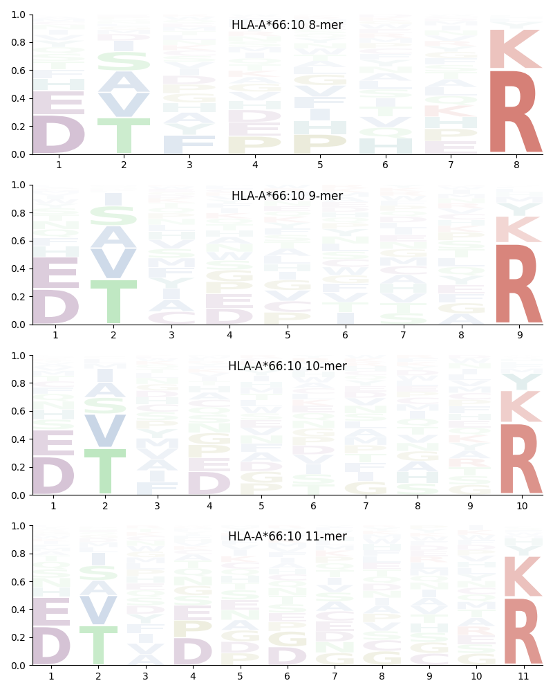 HLA-A*66:10 motif