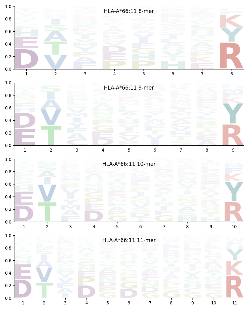 HLA-A*66:11 motif