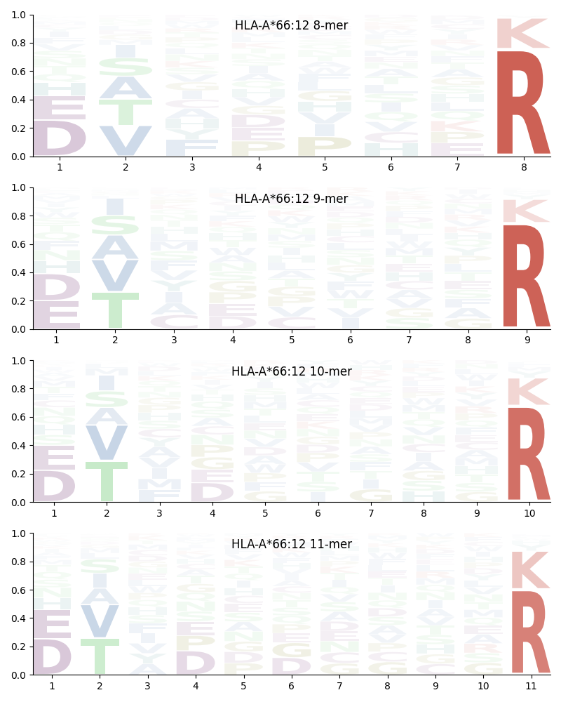 HLA-A*66:12 motif