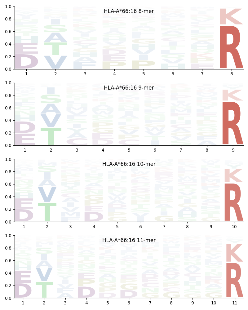 HLA-A*66:16 motif