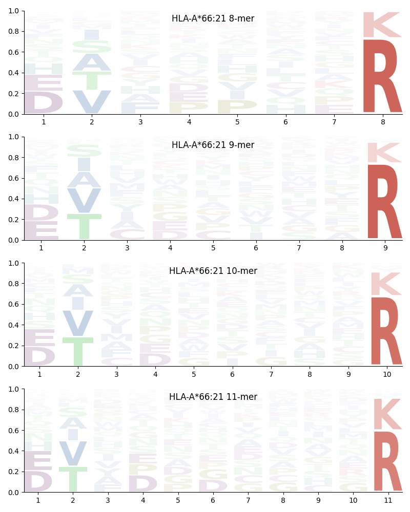 HLA-A*66:21 motif