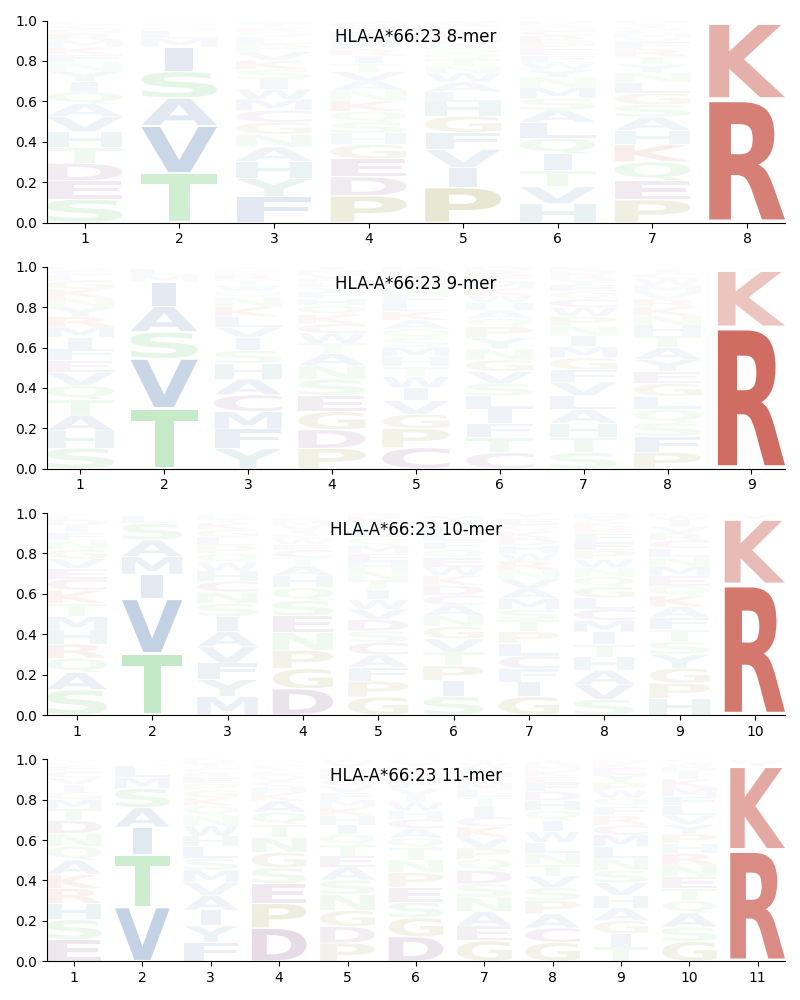 HLA-A*66:23 motif