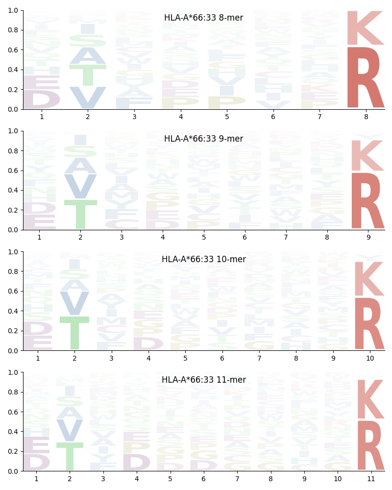 HLA-A*66:33 motif