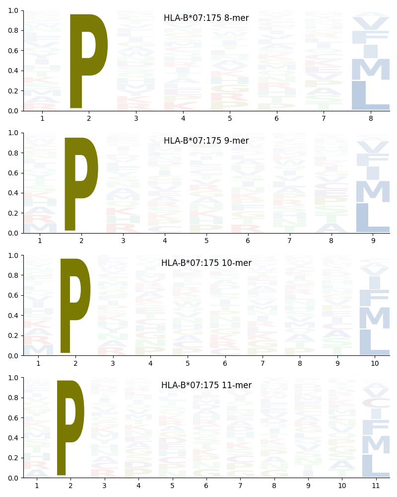 HLA-B*07:175 motif