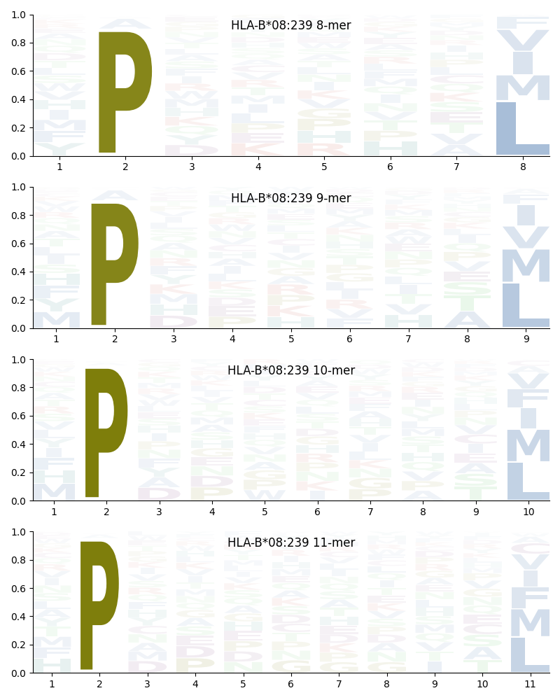 HLA-B*08:239 motif