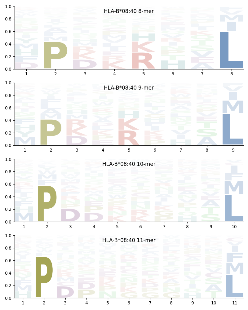 HLA-B*08:40 motif