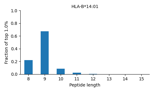 HLA-B*14:01 length distribution