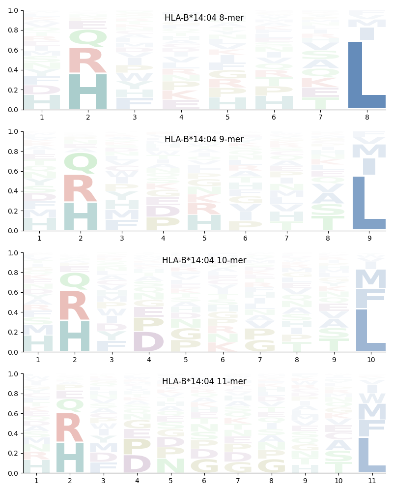 HLA-B*14:04 motif