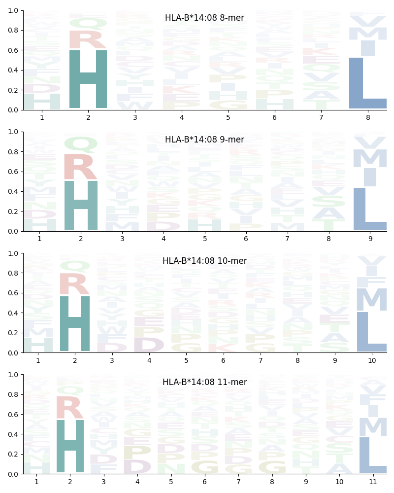 HLA-B*14:08 motif