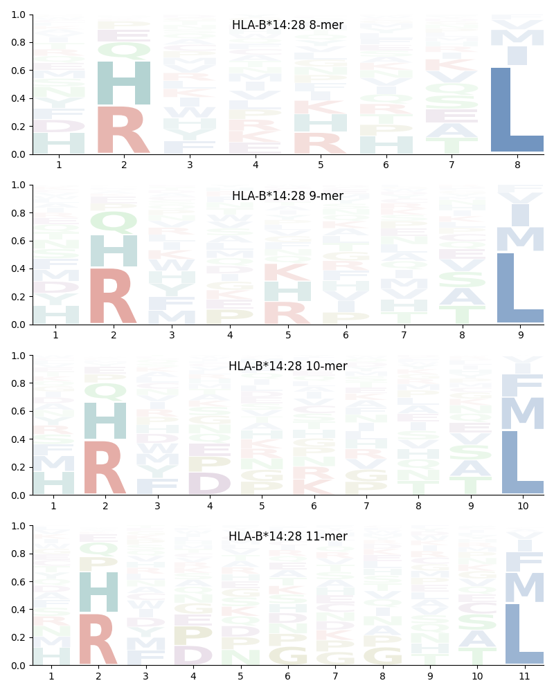 HLA-B*14:28 motif