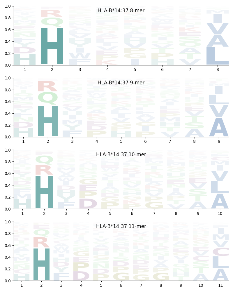 HLA-B*14:37 motif