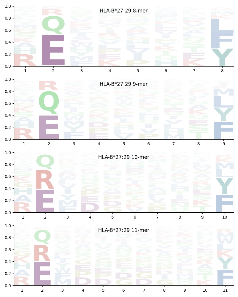 HLA-B*27:29 motif