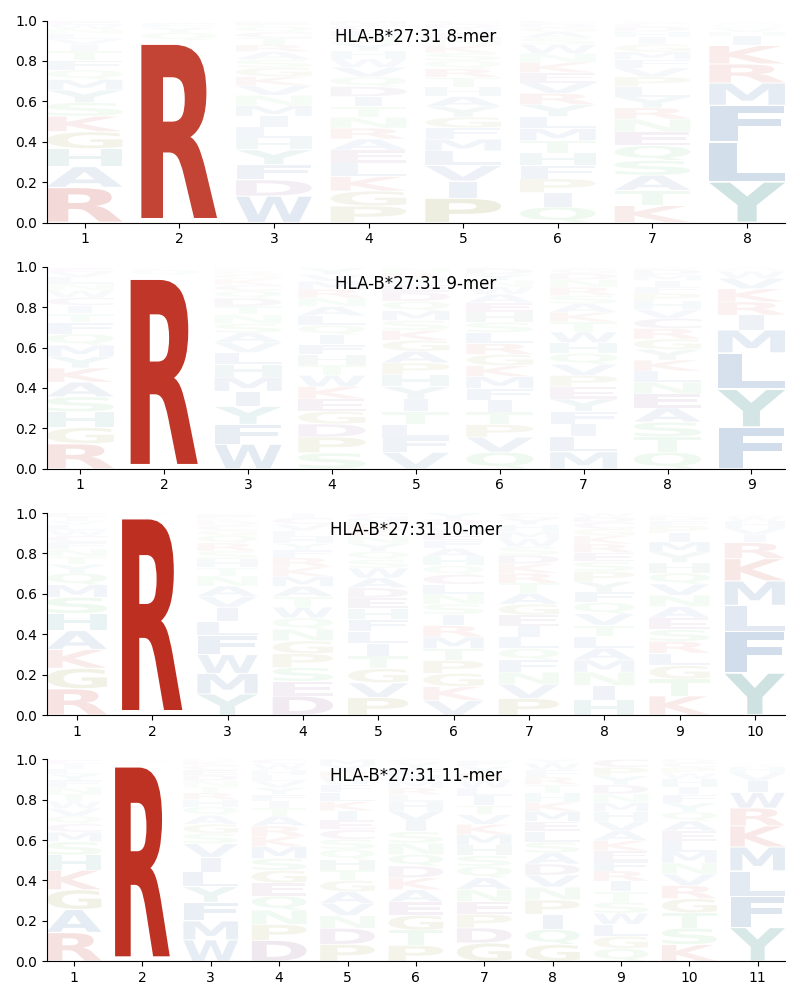 HLA-B*27:31 motif