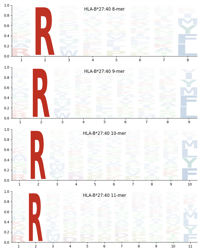 HLA-B*27:40 motif