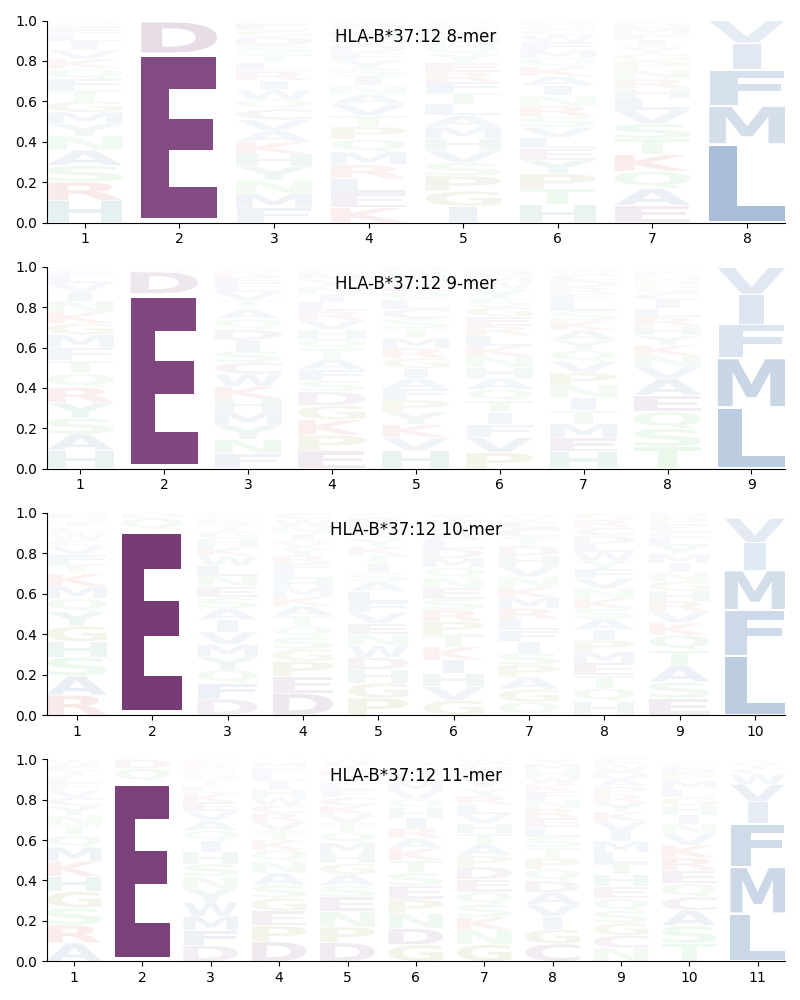 HLA-B*37:12 motif