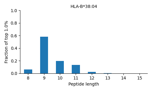 HLA-B*38:04 length distribution