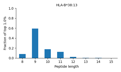 HLA-B*38:13 length distribution