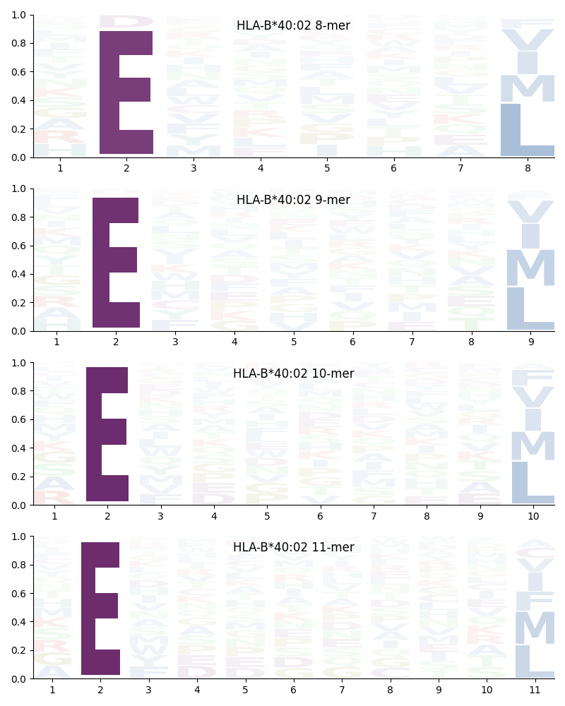 HLA-B*40:02 motif