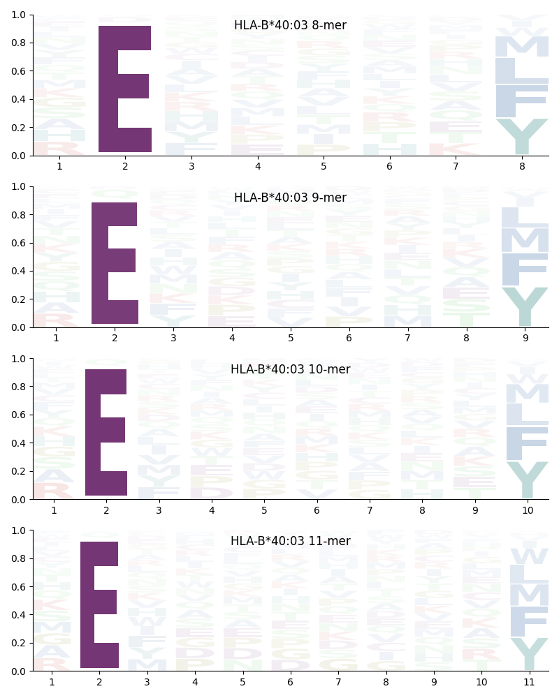 HLA-B*40:03 motif