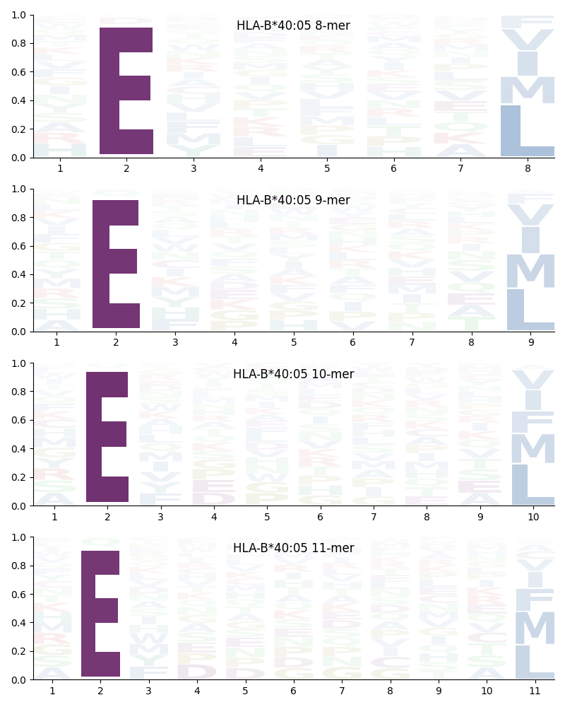 HLA-B*40:05 motif