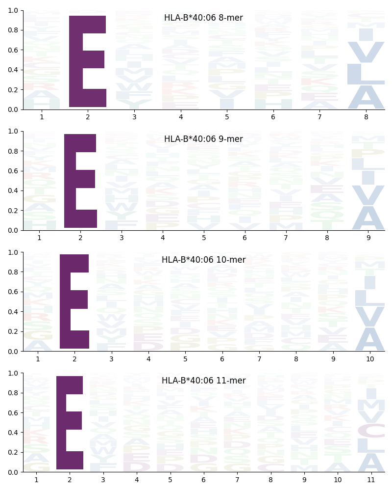 HLA-B*40:06 motif