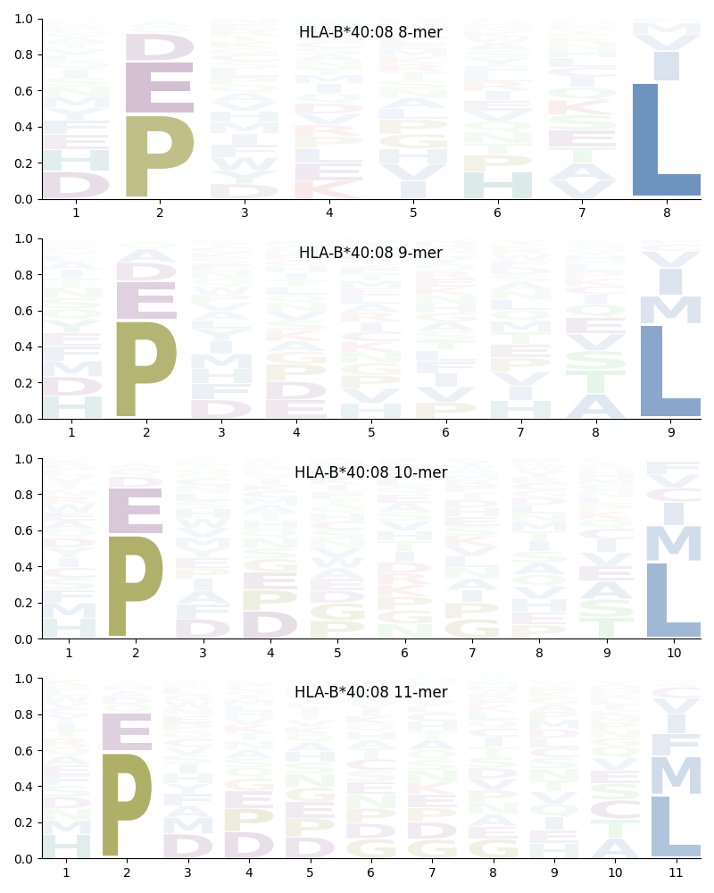 HLA-B*40:08 motif