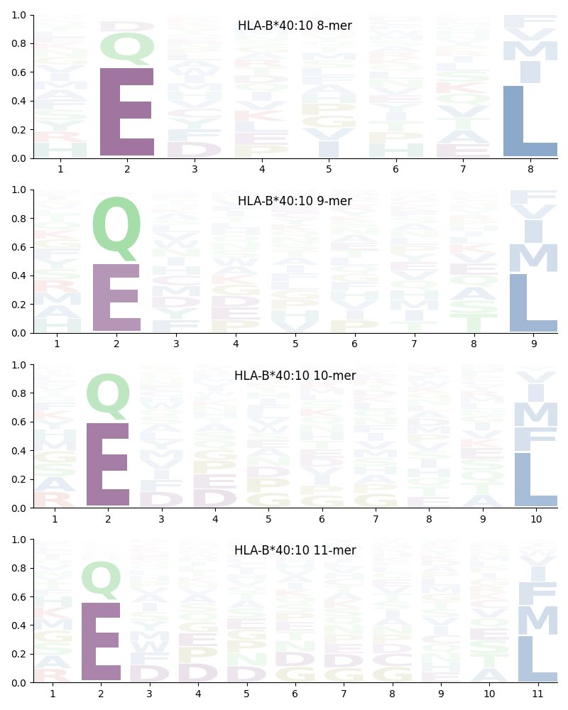 HLA-B*40:10 motif