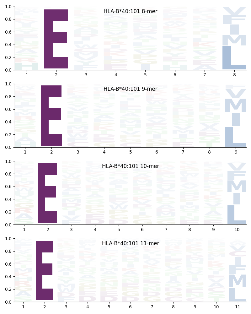 HLA-B*40:101 motif