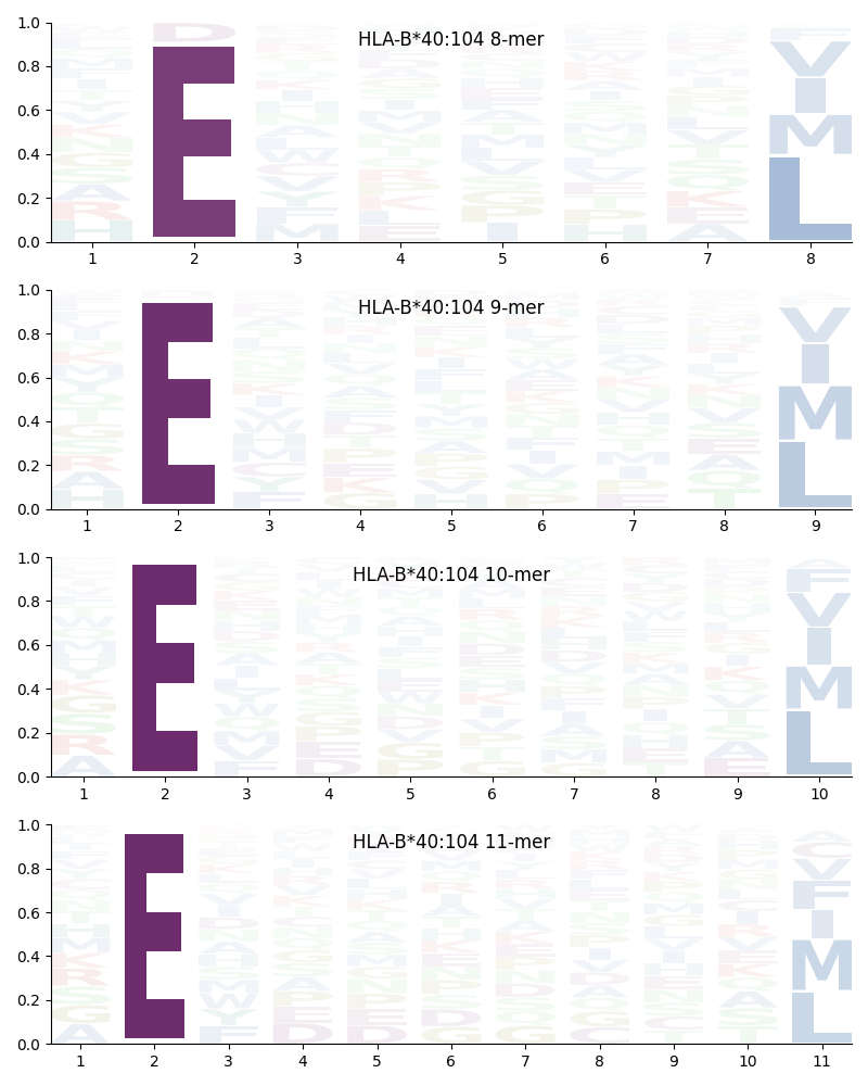 HLA-B*40:104 motif