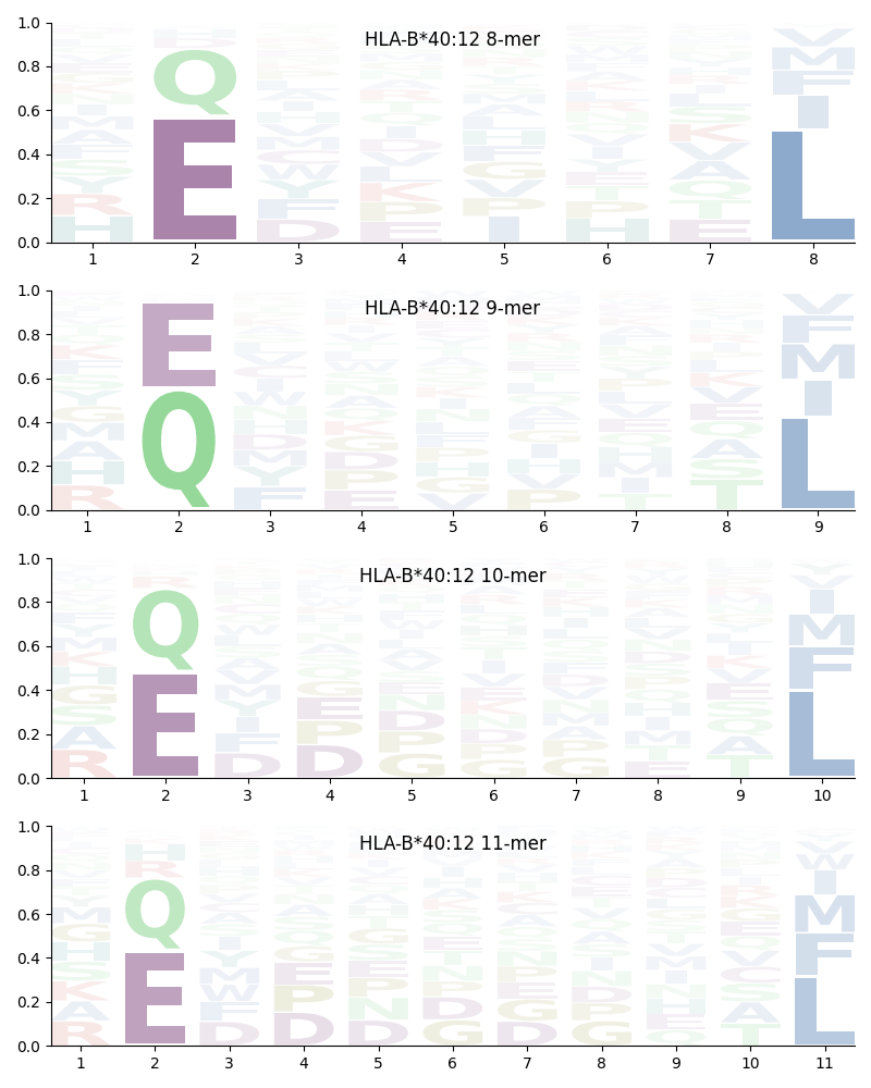 HLA-B*40:12 motif