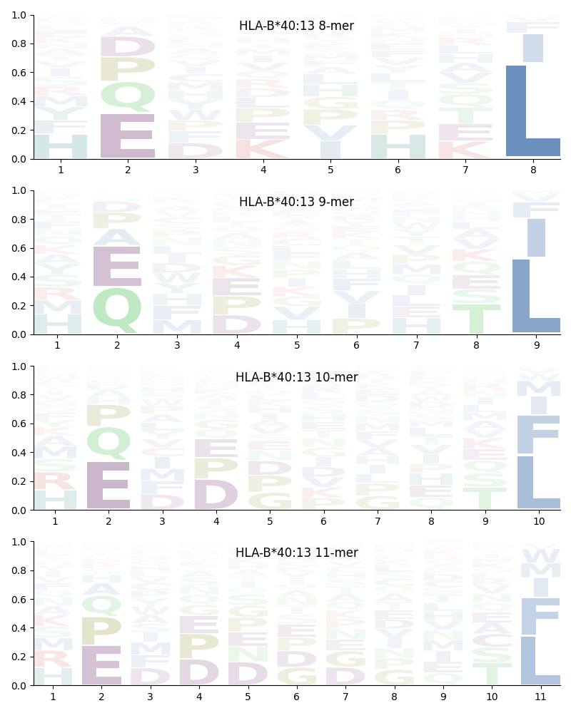 HLA-B*40:13 motif