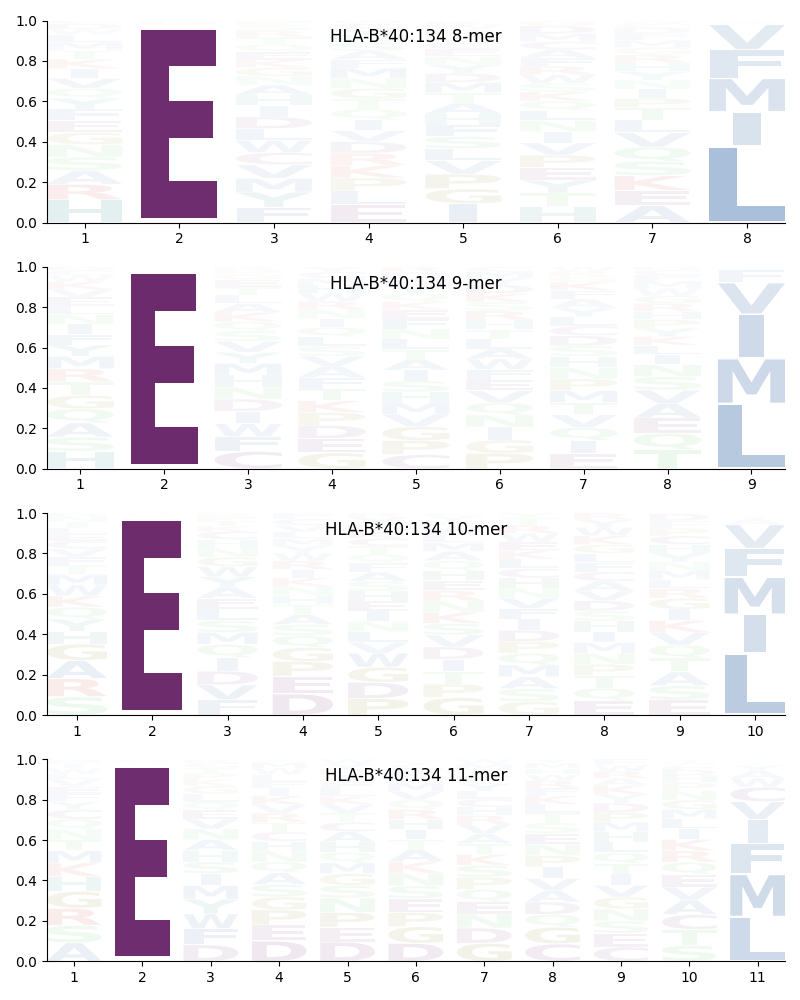 HLA-B*40:134 motif