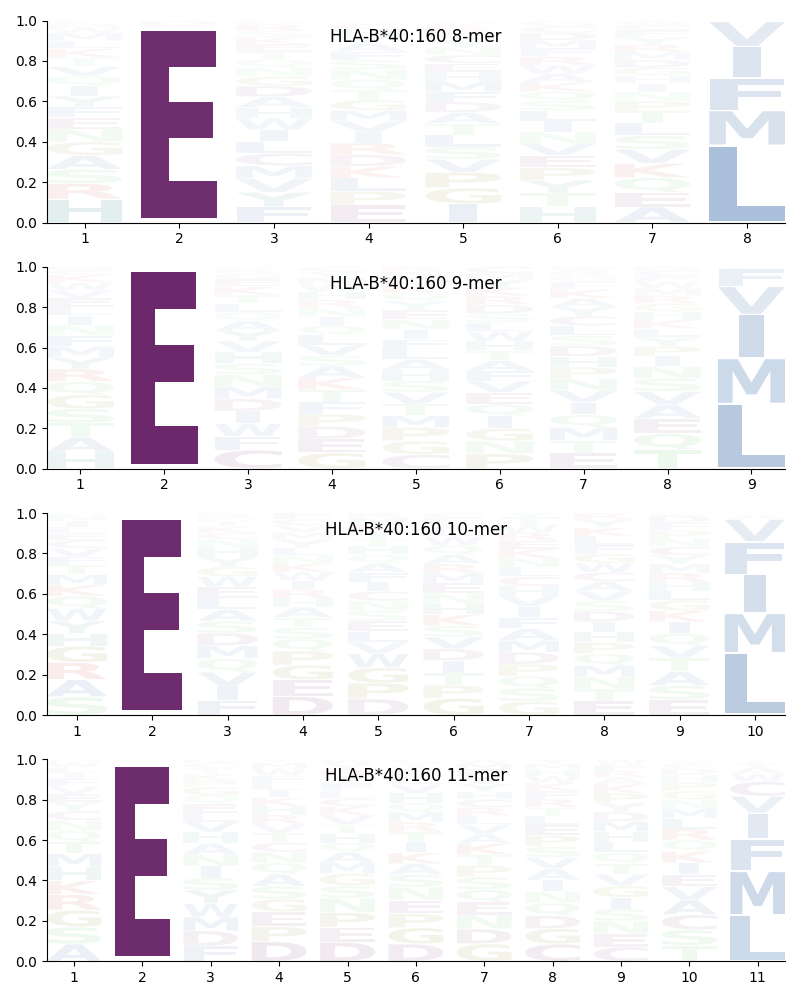 HLA-B*40:160 motif