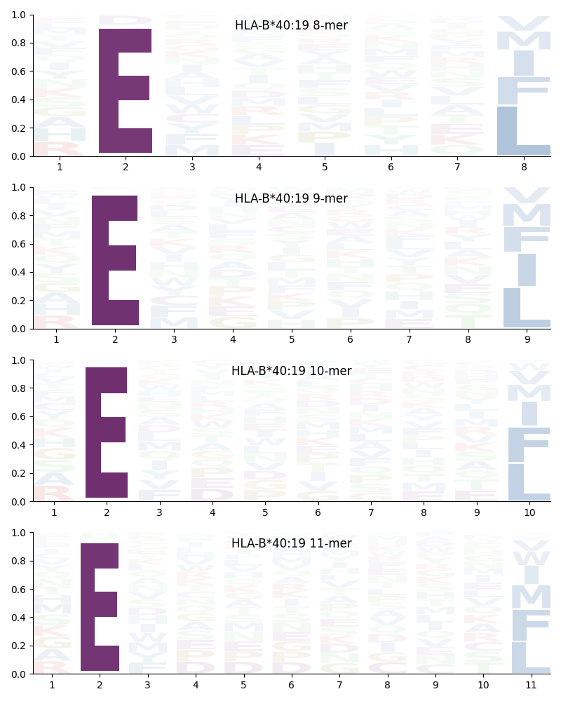 HLA-B*40:19 motif