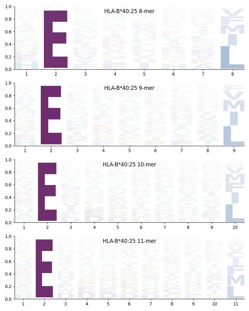 HLA-B*40:25 motif