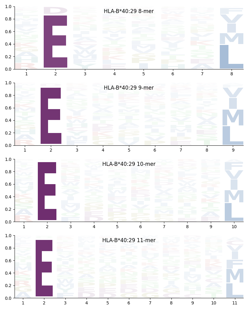 HLA-B*40:29 motif